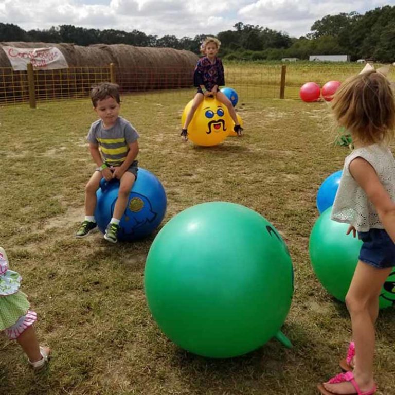 Attractions CornDodgers Farm