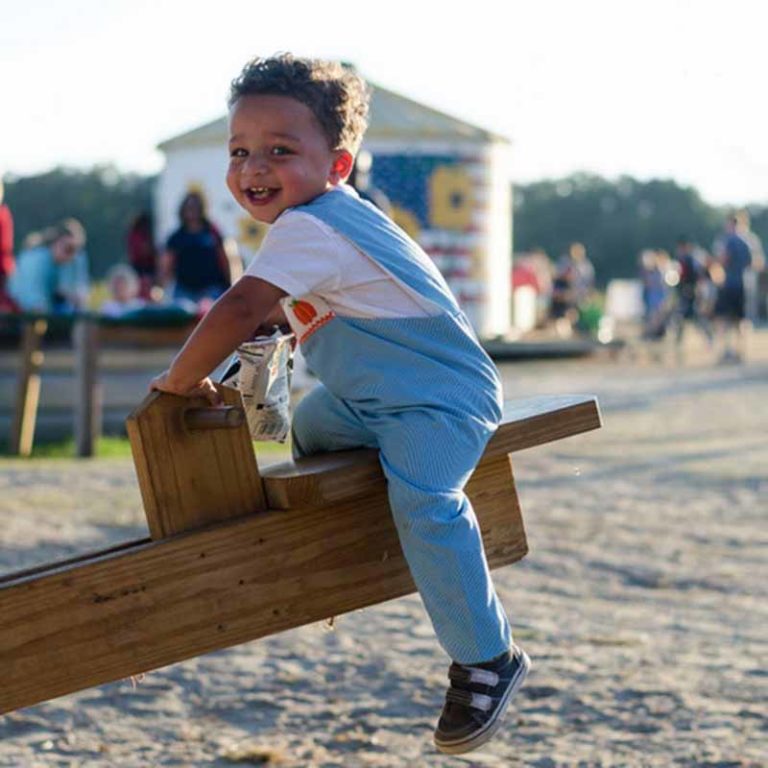 Home CornDodgers Farm